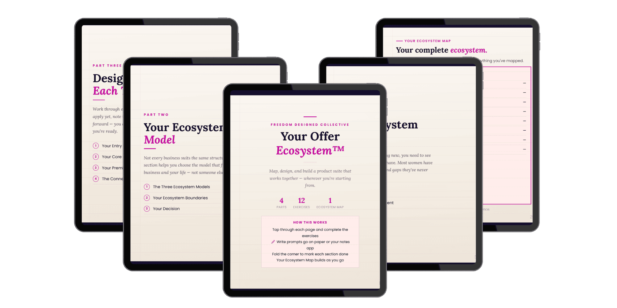 Interactive Offer Ecosystem Workbook mockup
