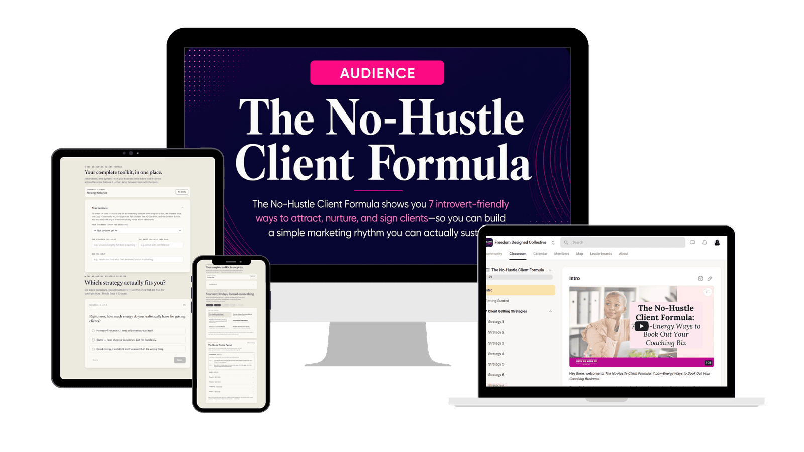 The complete No-Hustle Client Formula bundle: the training, Implementation Toolkit, Strategy Selector, 30-Day Plan and Client System Builder.